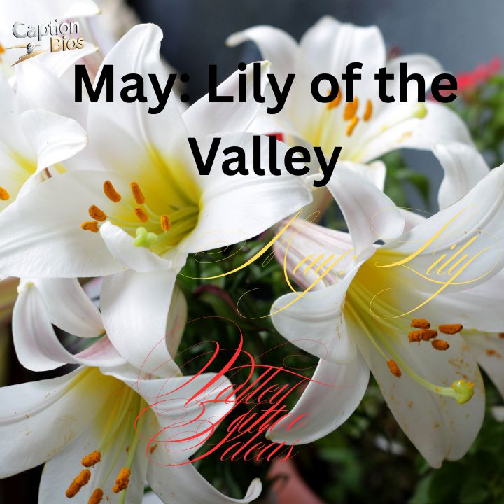 May Lily of the Valley