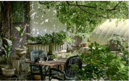 Zuhagarten – A Name That Inspires Calm, Growth, and Nature