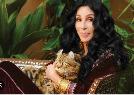 Cher Age, Net Worth, Family, Career ,height and weight 2025